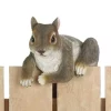 Summerfield Terrace Climbing Cuties - Chip the Squirrel
