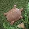 Summerfield Terrace Cast Iron Turtle Stepping Stone